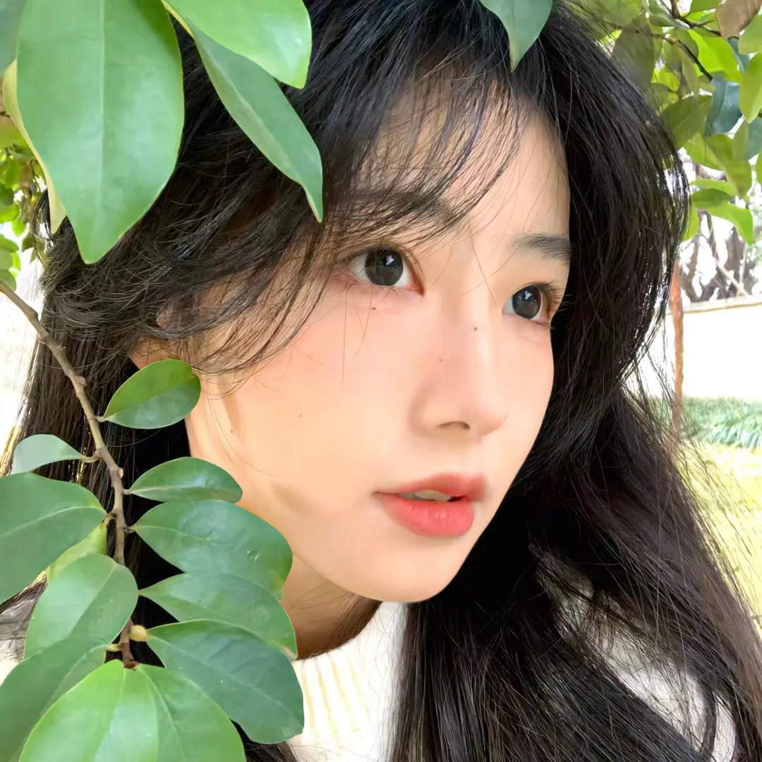 冲绳豆腐之恋